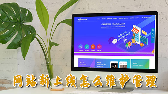 深圳上线“科技初创通” 为初创科技型企业画像