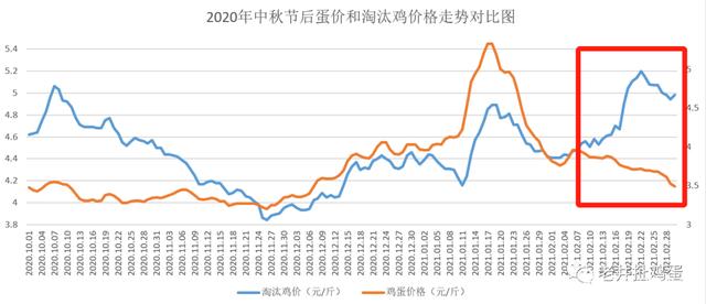 2024年7月31日今日苏州高线价格最新行情走势