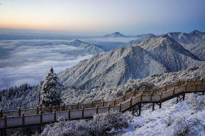 莱茵体育：控股子公司预中标西岭雪山景区委托运营项目