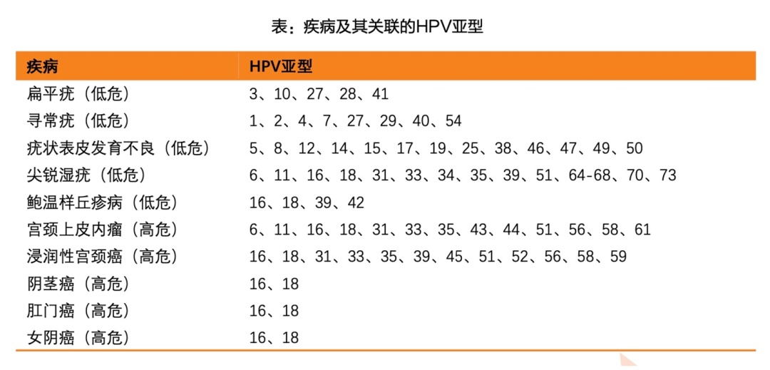 中邮证券：血制品板块业绩表现稳健 疫苗企业出海进程加速