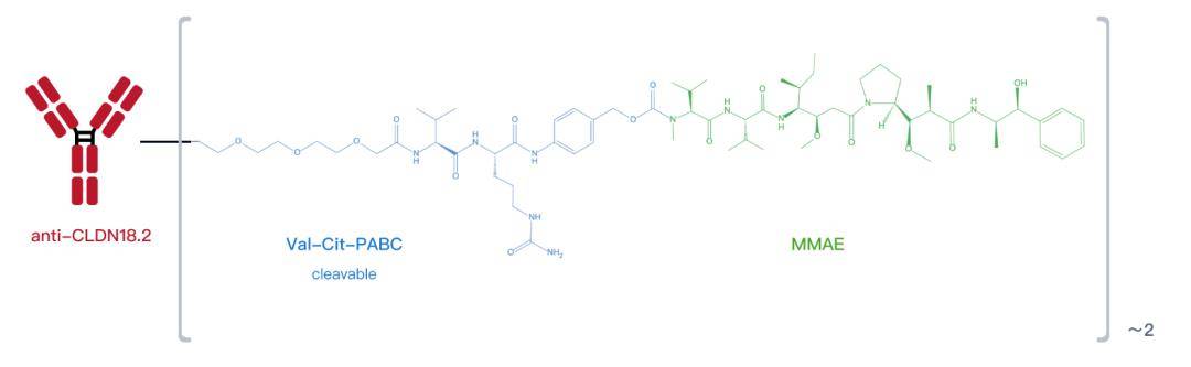 华源证券给予迈威生物买入评级，ADC核心管线进展积极，商业化稳步推进