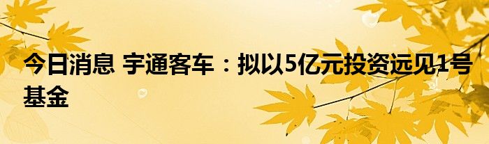 闻泰科技：全资子公司拟投资境外基金 总投资额不超过500万欧元