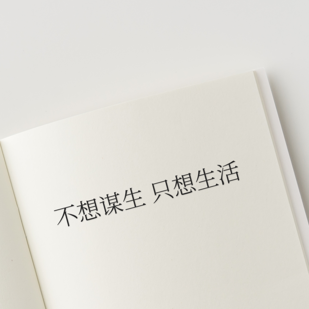 只会谋生的也不是苦役（念念有余）