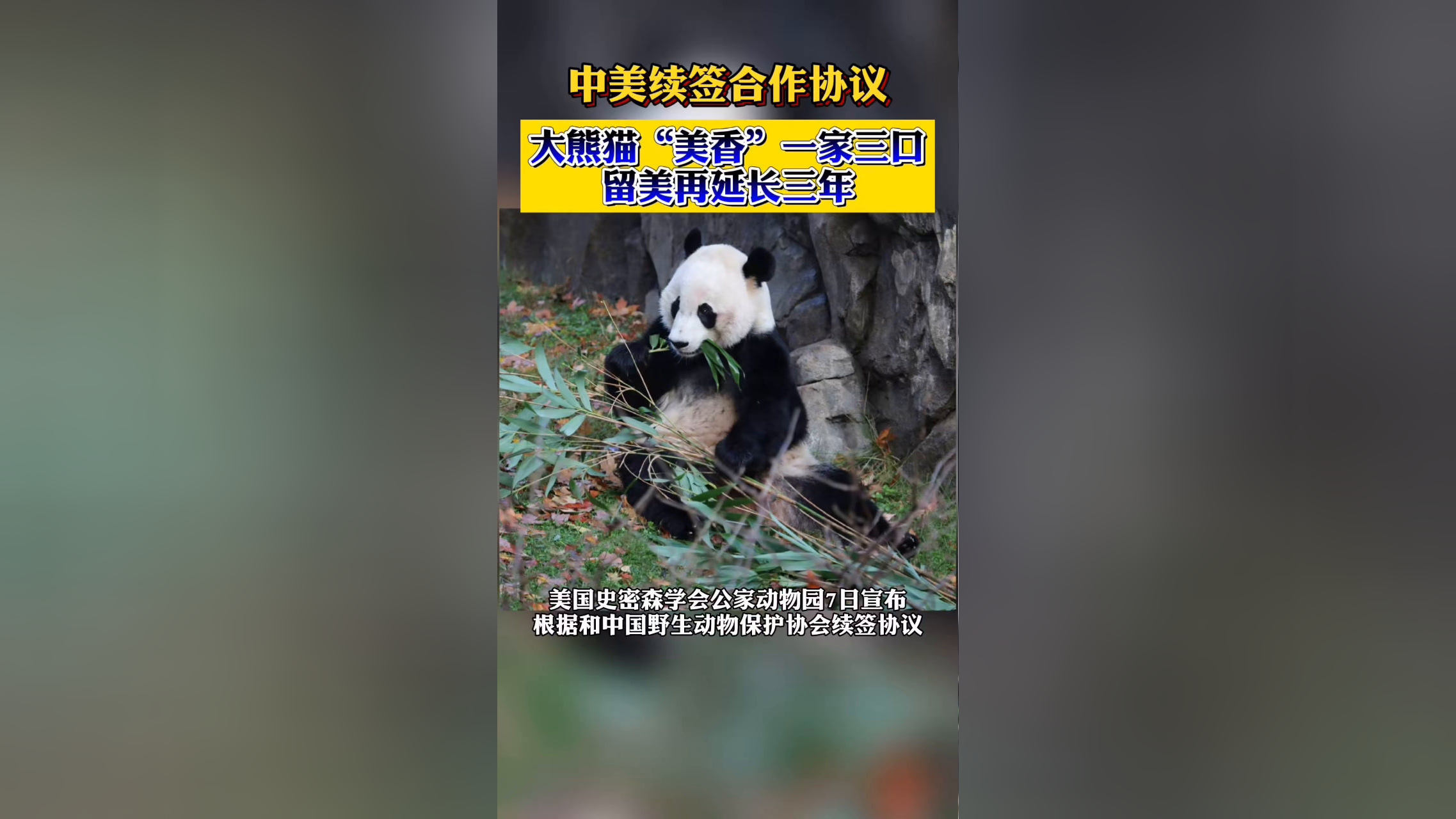 塞政府与赫尔墨斯机场公司签署协议延长拉纳卡和帕福斯机场管理期至2033年