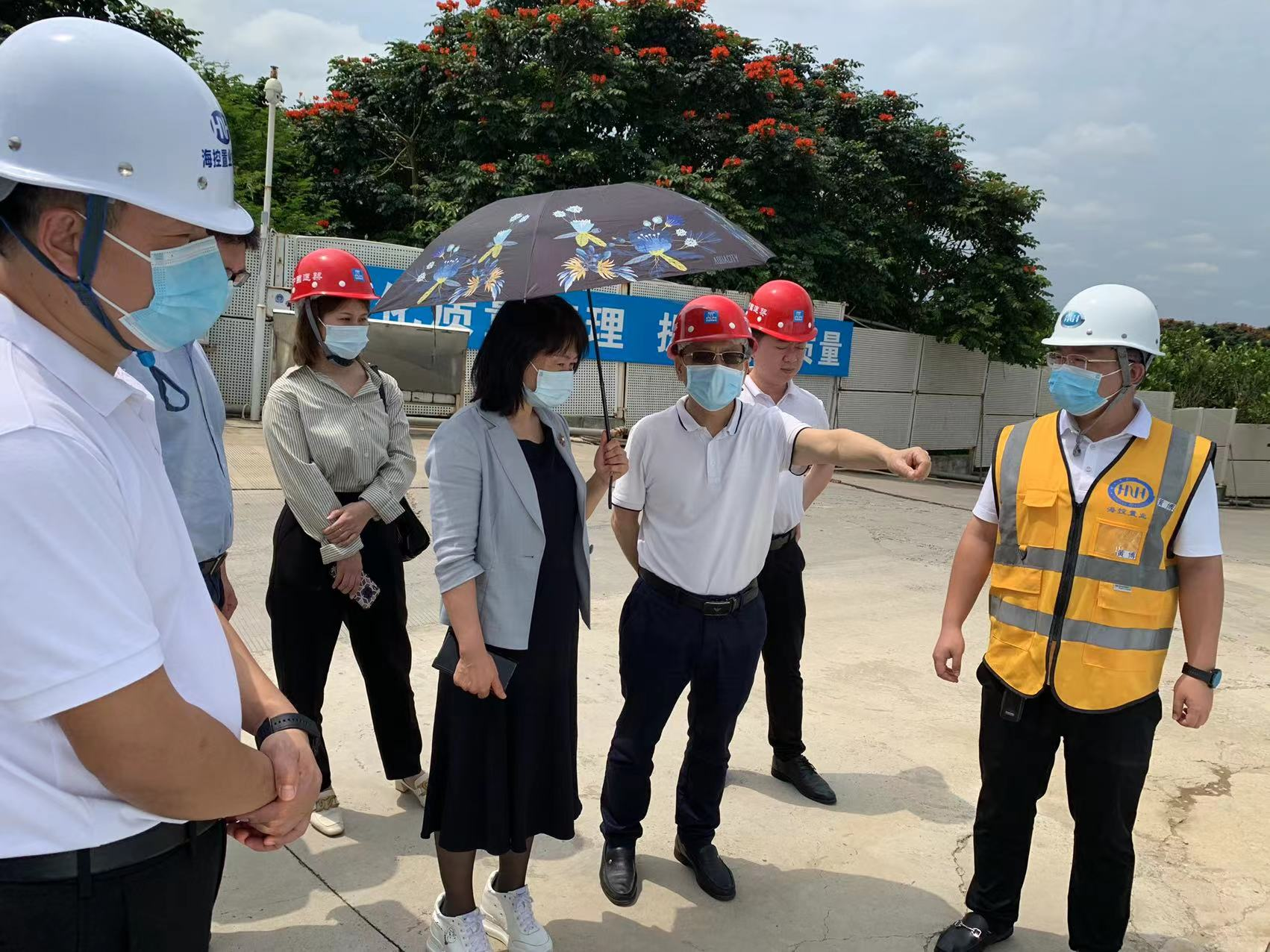 国家统计局局长康义会见巴西国家地理与统计局代表团