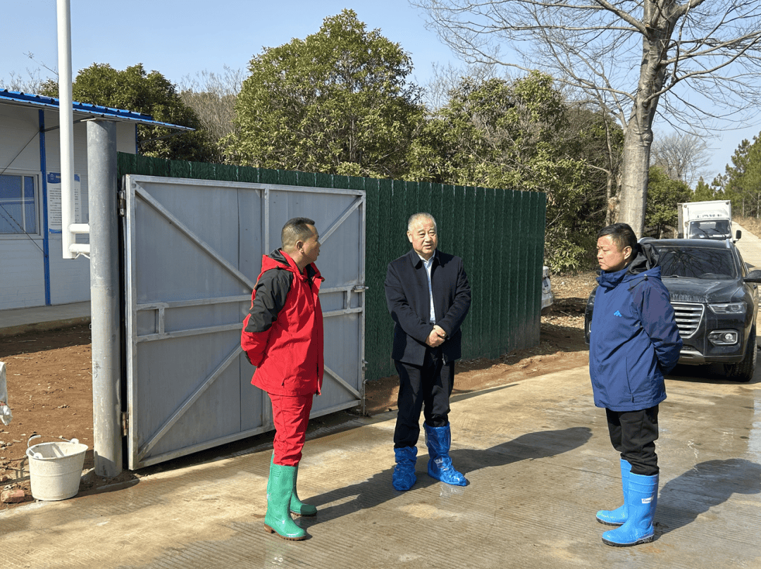 新五丰:目前公司母猪场满产率较2024年年初提升了10%以上
