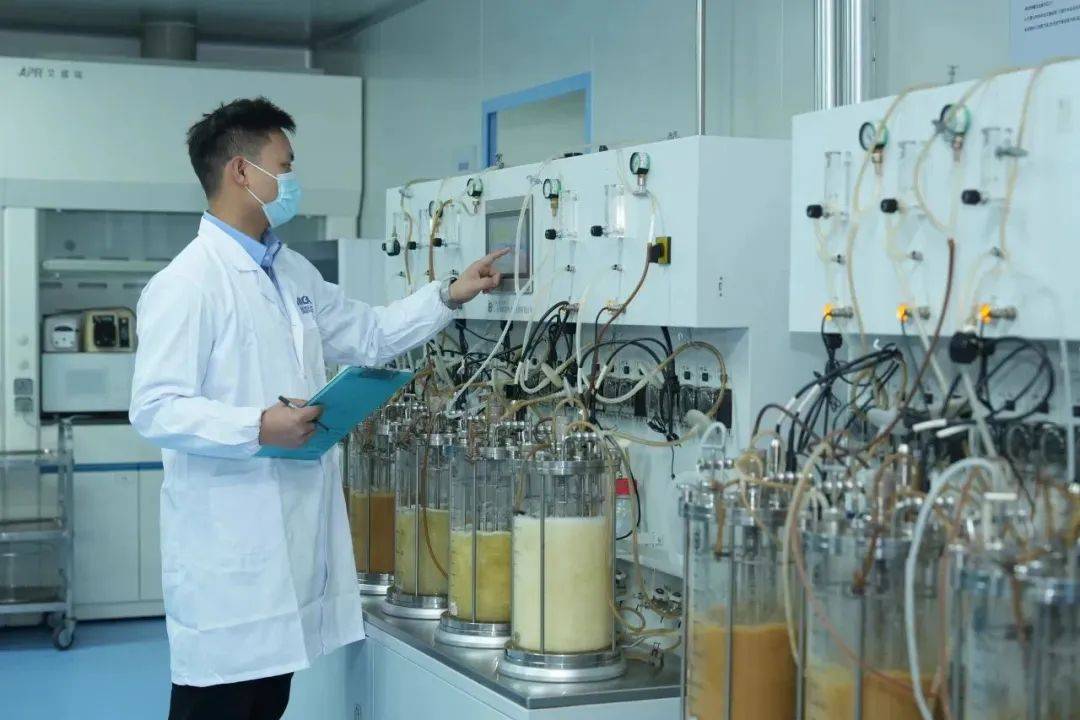 中国首家!国产凝结魏茨曼氏菌,拿到FDA-GRAS认证