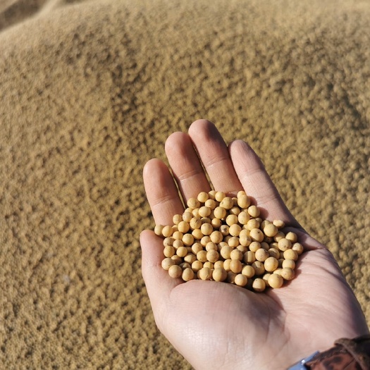 祖名股份：公司采购的均为国内非转基因大豆