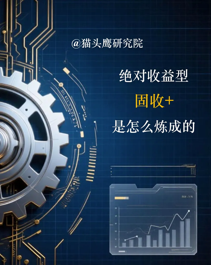 11只顶尖老牌“固收+”，收益增强的不同方式