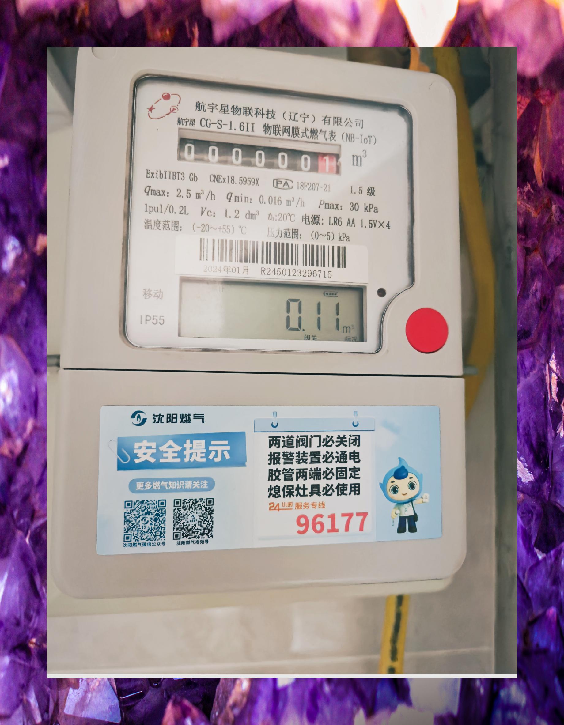 深圳燃气:肖春林辞去公司董事、战略委员会委员等职务