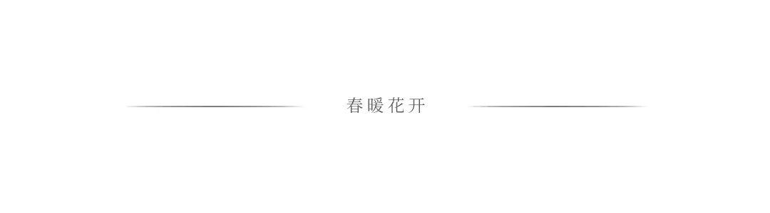 陈春花:成为卓有成效的协同管理者