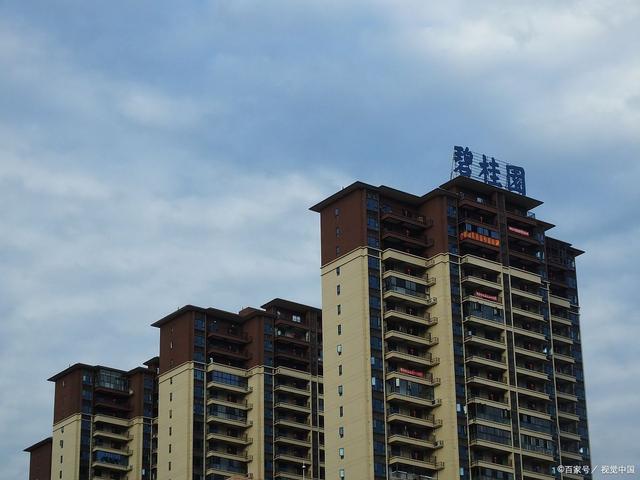 碧桂园服务(06098.HK)连续4日回购，累计斥资3702.69万港元