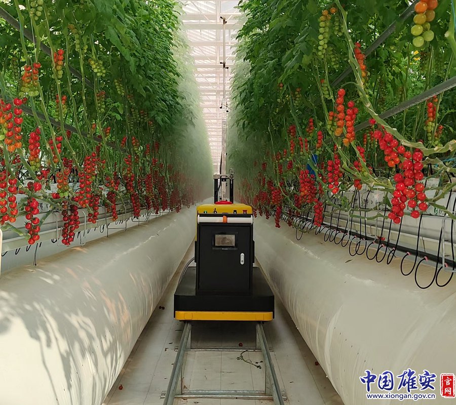 太力科技:正与多家机器人厂商开展技术交流与业务对接