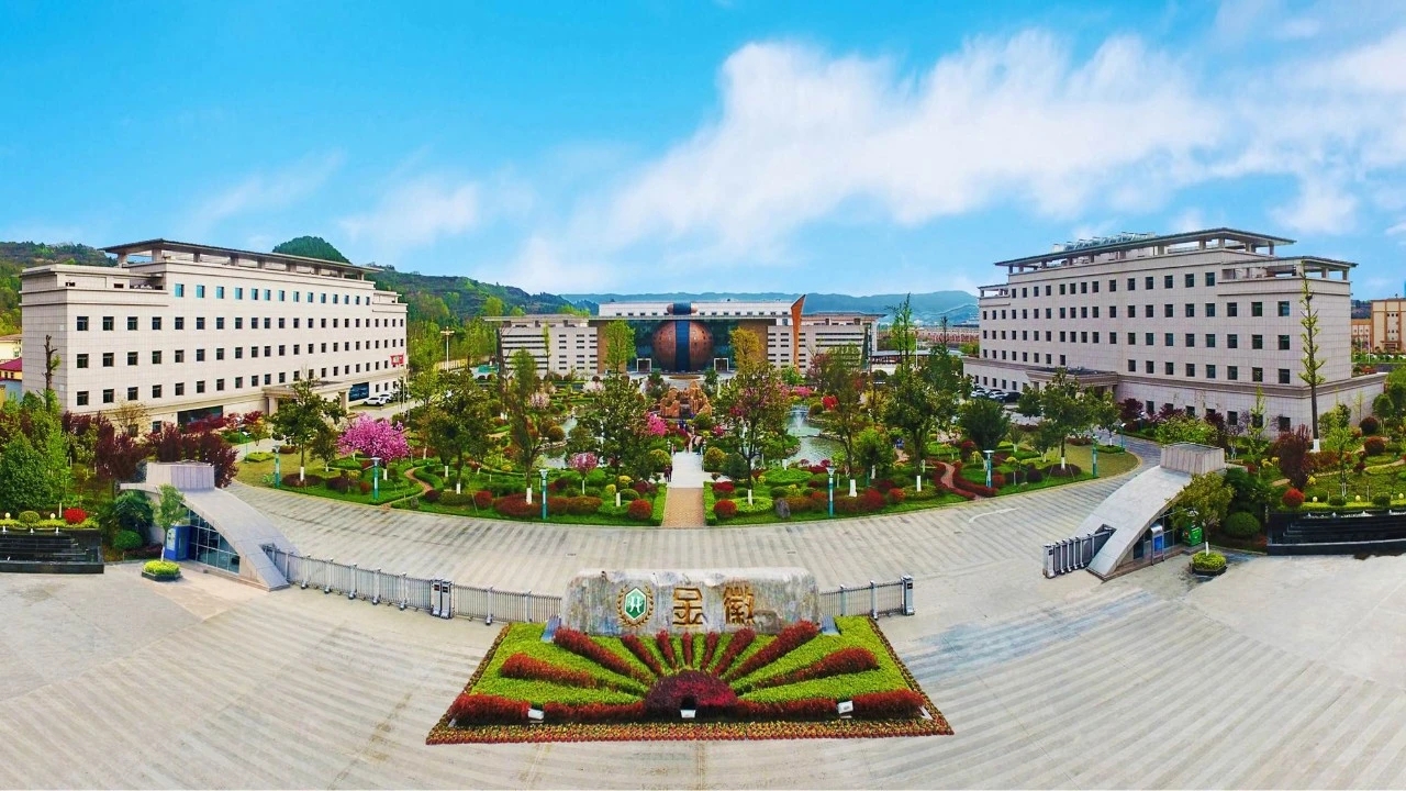 金徽股份盘中创历史新高