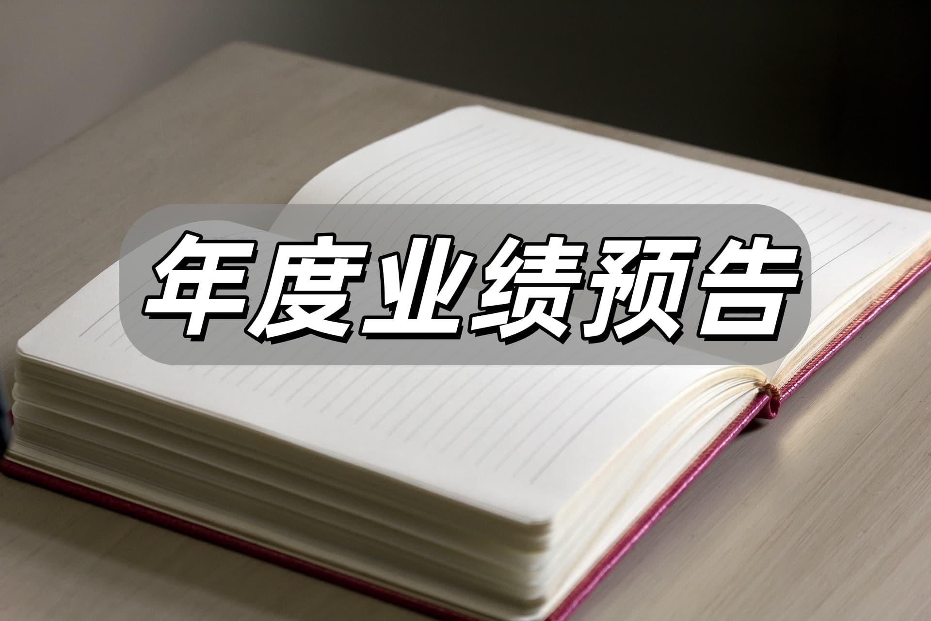 大位科技:2025年预亏1250万元―2500万元