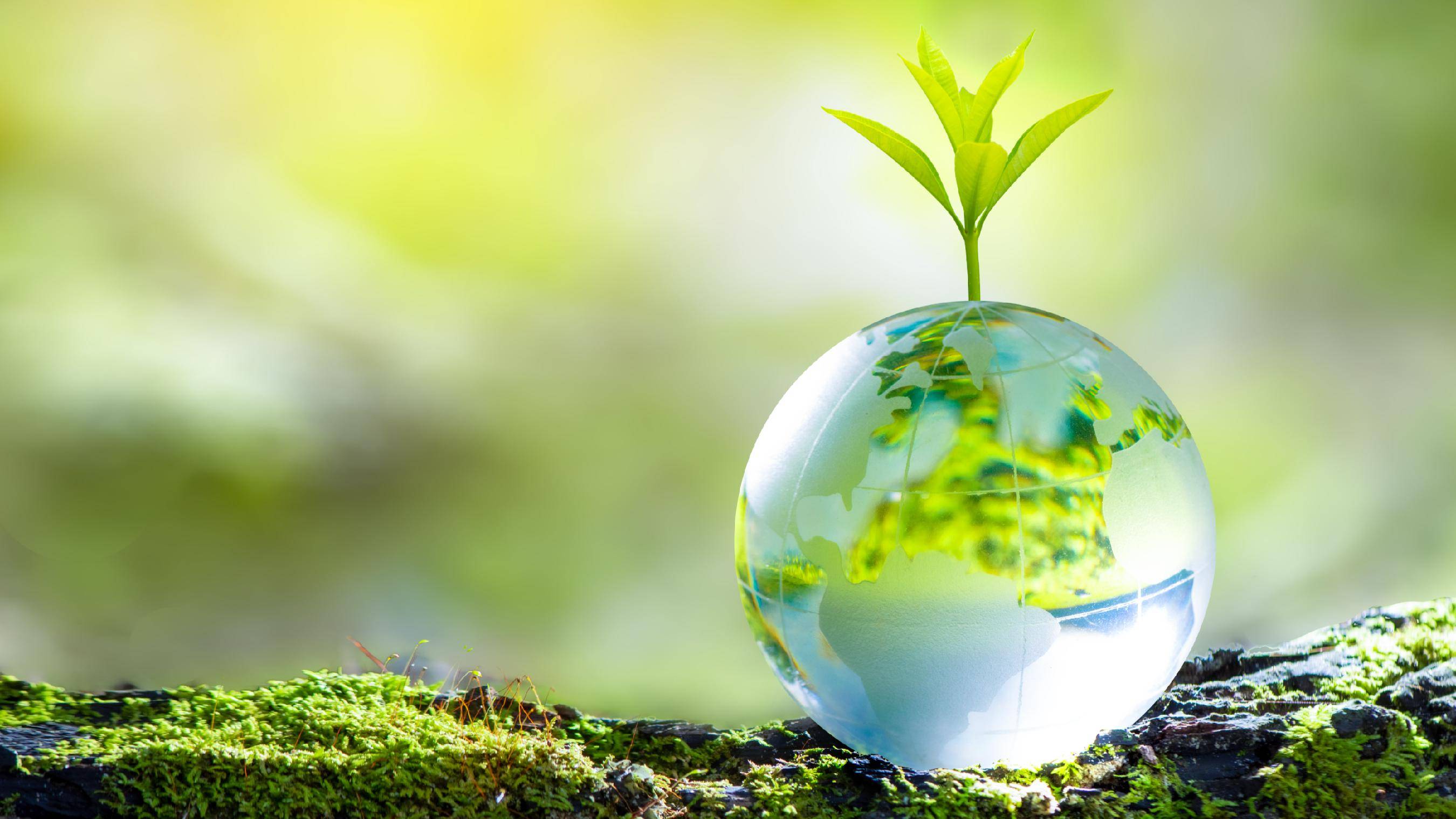 数据显示我国经济社会绿色转型加速推进