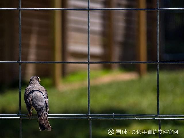立方风控鸟·晚报（3月11日）