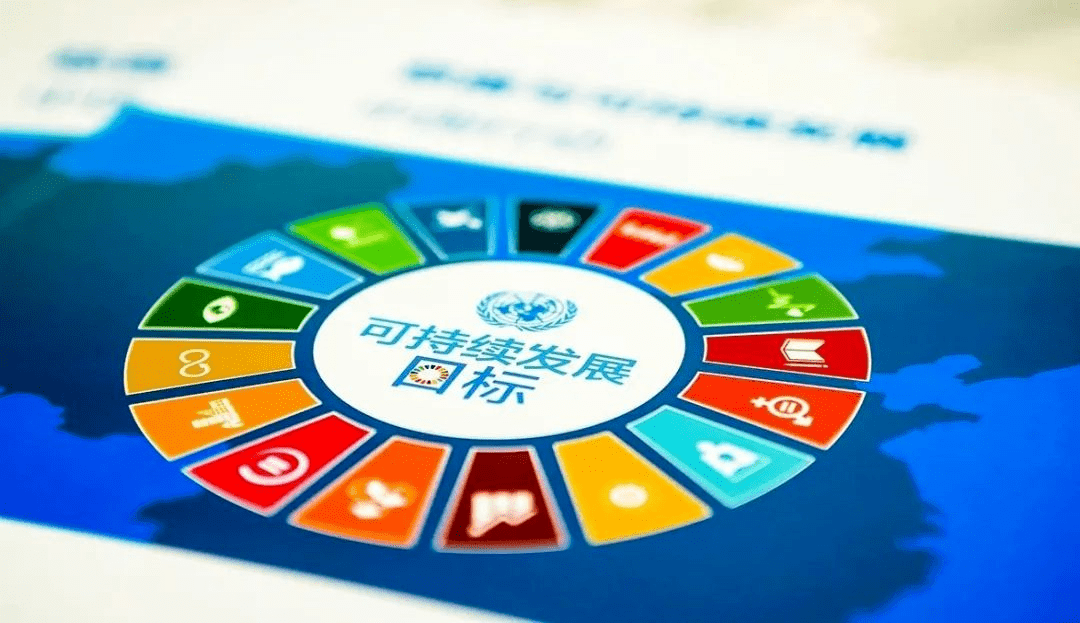 中国联合国采购促进会：“保证拿到联合国及国际采购订单”的言论属不实信息