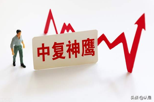 中复神鹰3日大涨超50% 公司提示风险