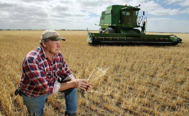 千亿中东资本涌入香港？业内称数据难求证 流入趋势确实存在