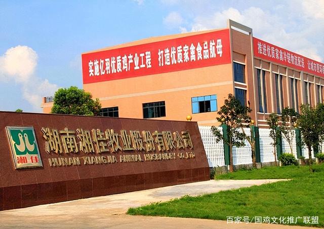 华英农业去年业绩转亏:双主业战略承压,重整四年业绩均未达目标