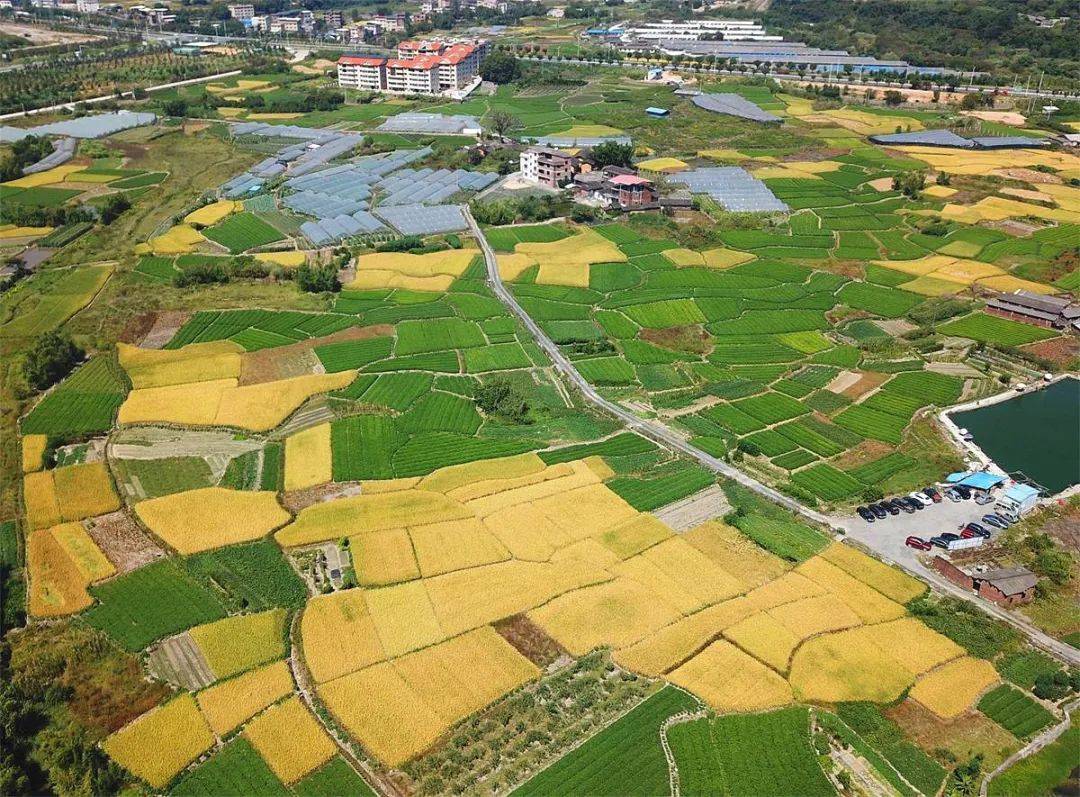 龙净环保：股东龙岩国投累计增持公司股份约1168万股