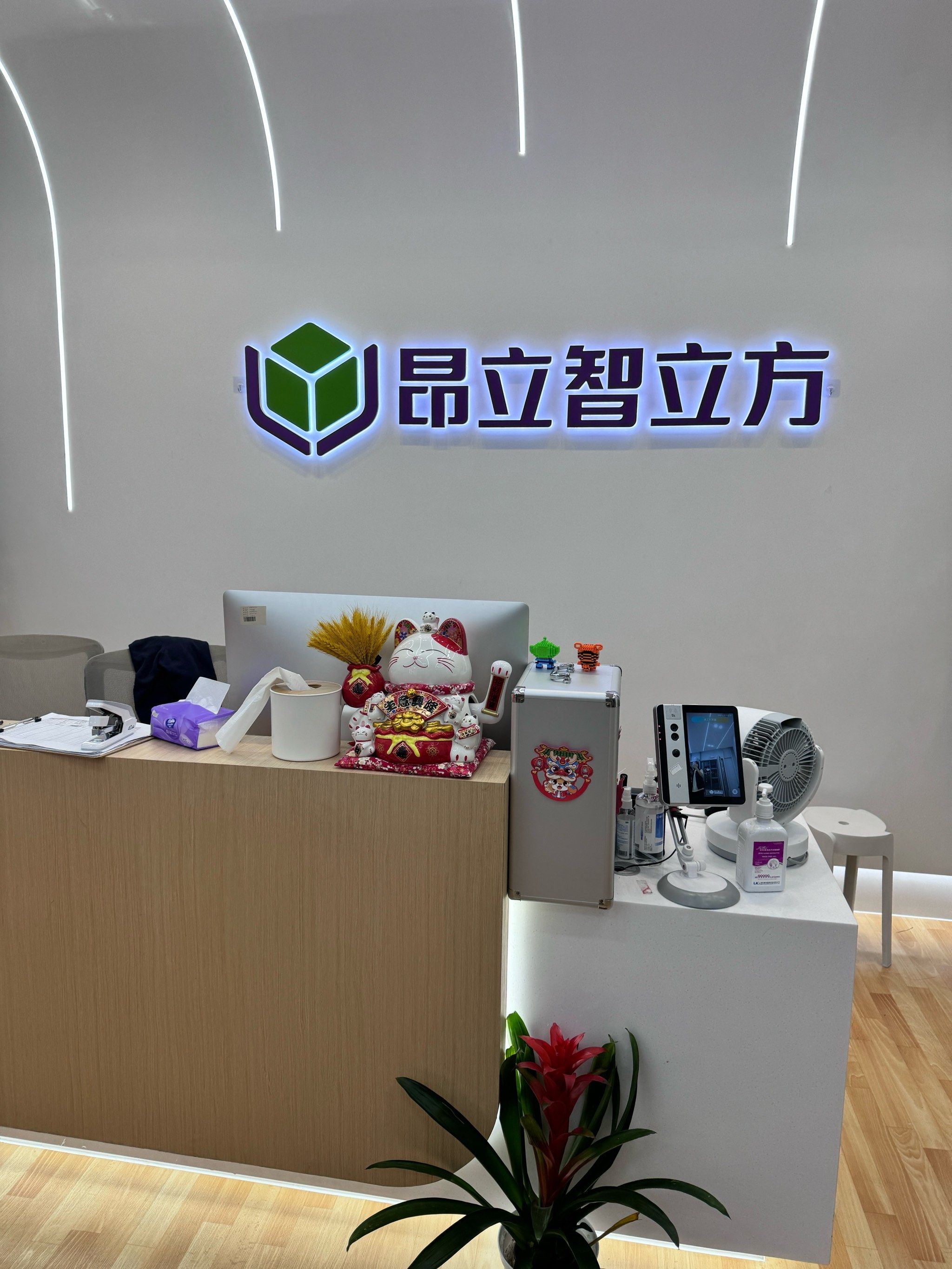 智立方股价创下历史新高