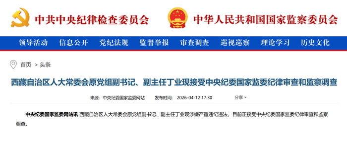 周末打虎，副部级丁业现被查