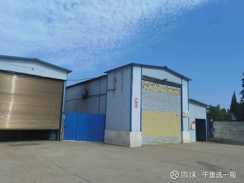 天邦食品股价“过山车”背后:业绩预亏与重整失败风险高悬