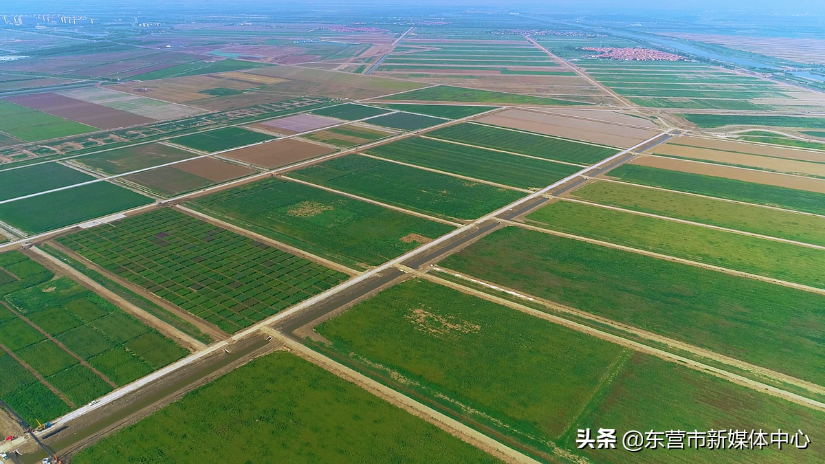 立法会聚焦粮食安全和旅游开发