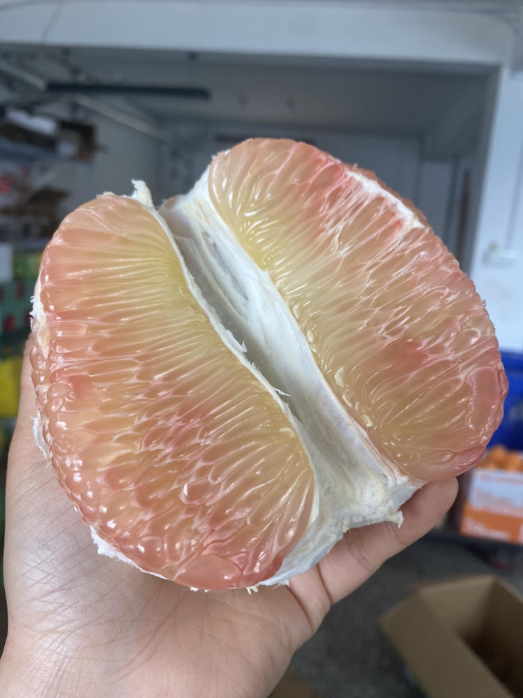 越南首批柚子出口澳大利亚
