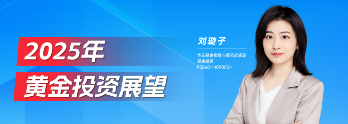 安路科技：2025年亏损加剧，收入持续缩水，股东减持不断，欲借定增翻盘